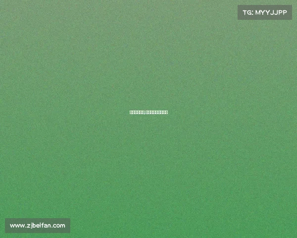 欧篮排名赛事,欧洲篮球联赛的排名