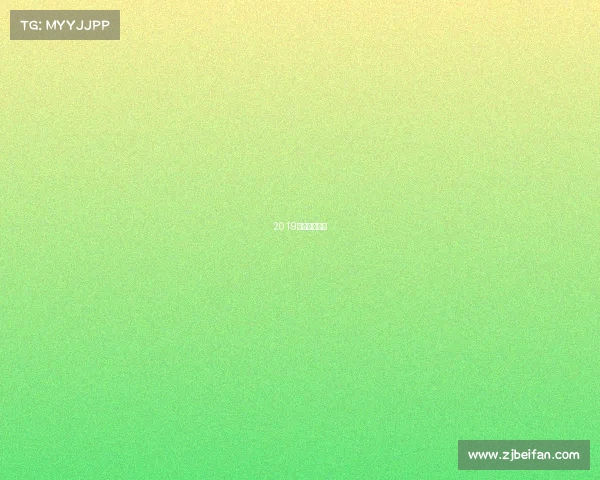 2019年美国大奖赛